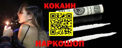 шишки Боровичи