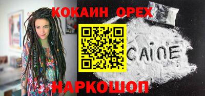 шишки Боровичи
