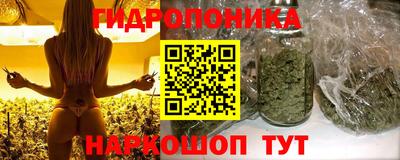 шишки Боровичи