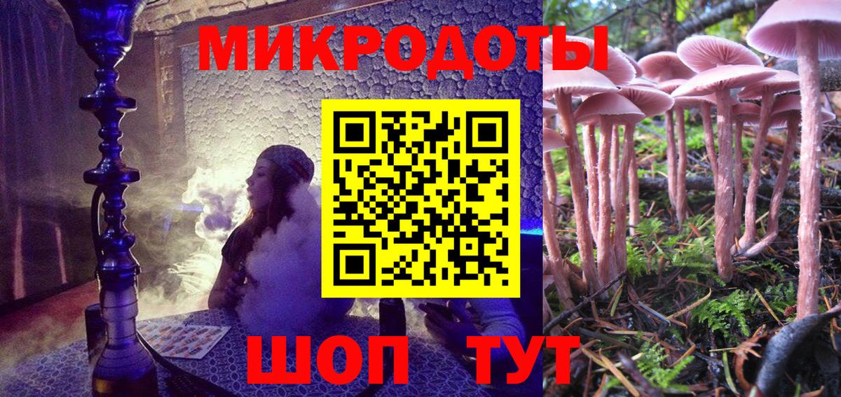 Псилоцибиновые грибы Psilocybine cubensis Астрахань