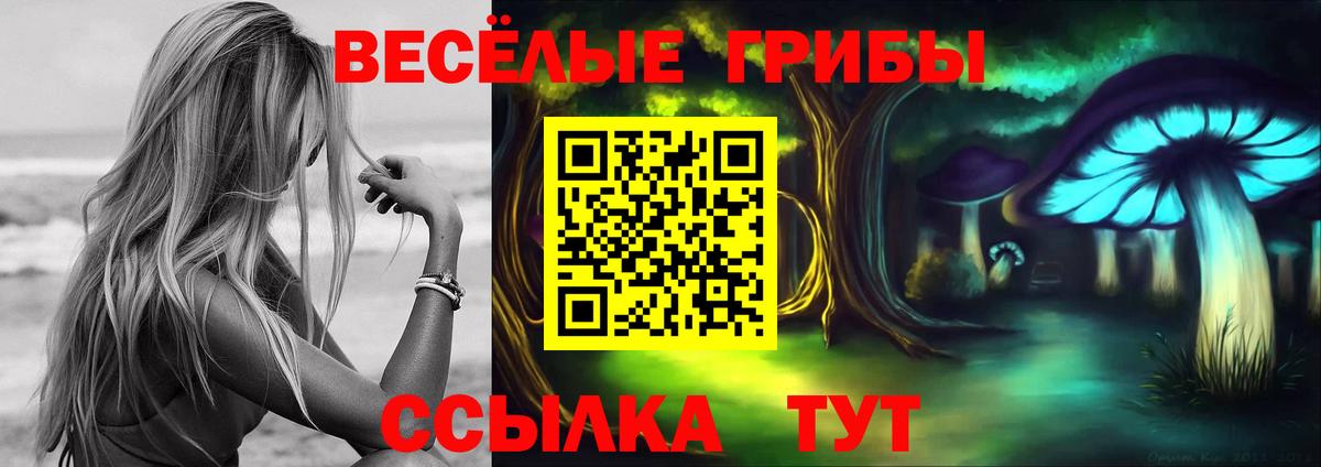 Галлюциногенные грибы Cubensis  Галлюциногенные грибы Magic Shrooms  Вход с VPN  где можно купить наркотик  Астрахань 